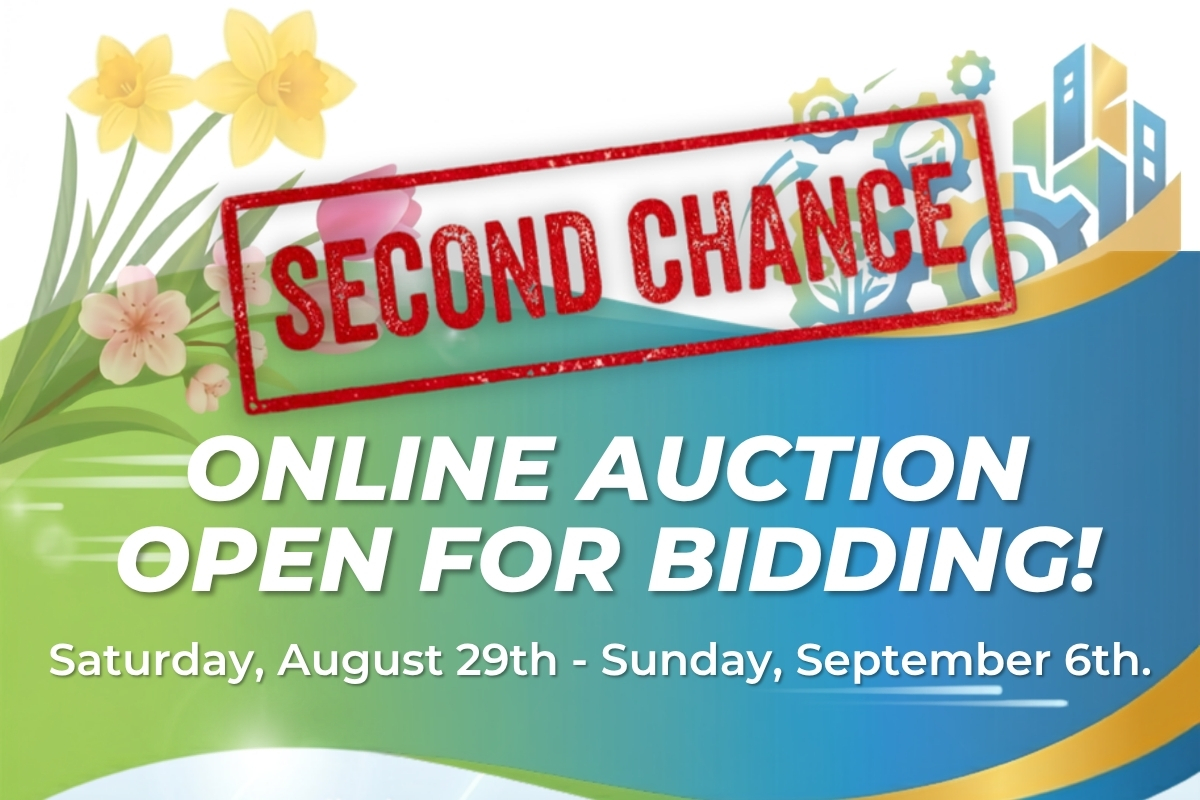 Second Chance Online Auction